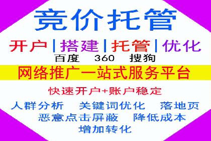 企业SEM托管服务成功案例分享